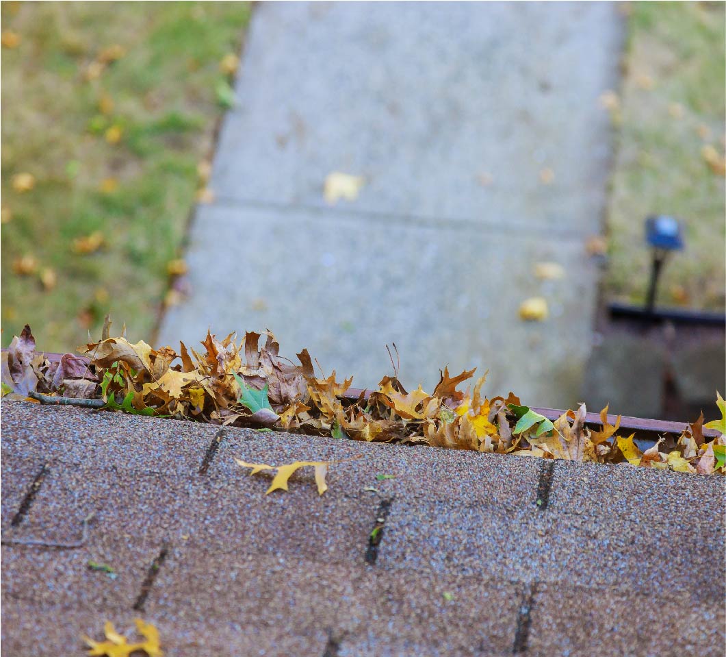 Leaves in a gutter ready to be cleaned